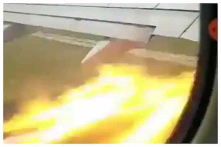 Dikira Kerusakan Mesin, Api di Pesawat Boeing 737 SpiceJet Ternyata Gegara Bird Strike