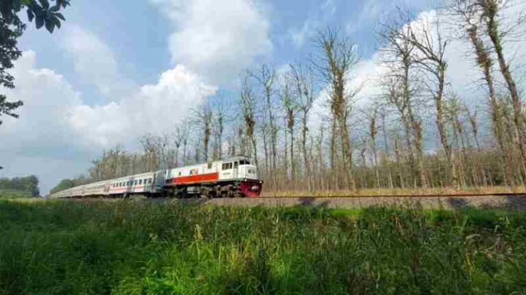 Mengabadikan Kereta Api Sembari Menikmati Pemandangan Deretan Hutan Jati