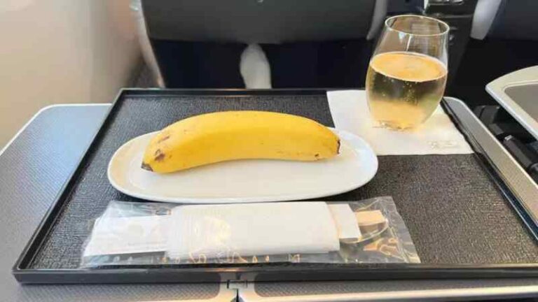 Penumpang Kelas Bisnis Japan Airlines Terhina Setelah Disuguhi Sebuah Pisang dan Sumpit