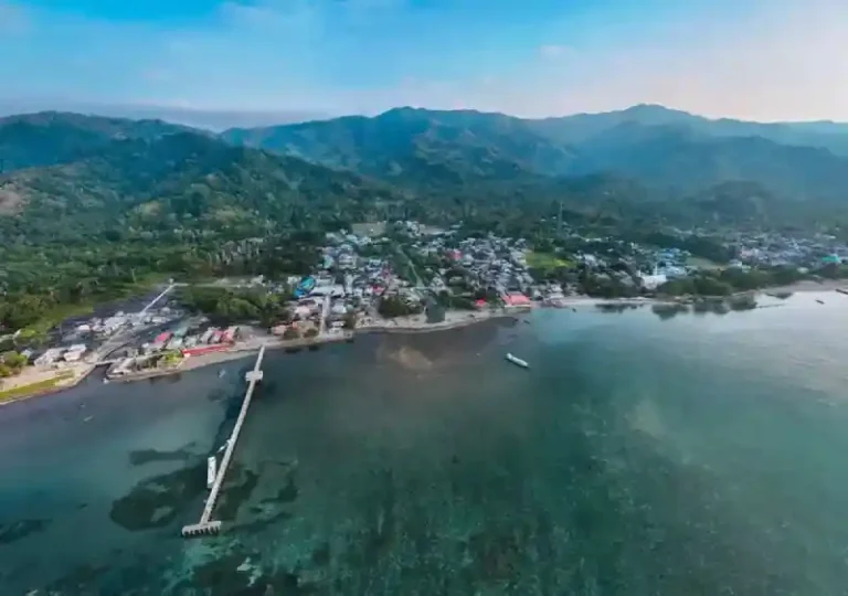 “Pelabuhan Hijau”, Kurangi Emisi Melalui Mangrove