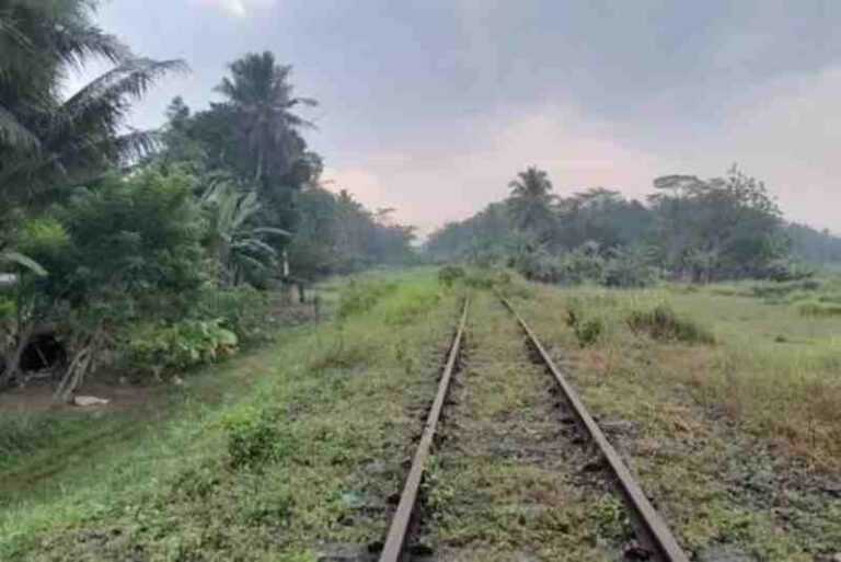 Terungkap! Rencana Tiga Jalur Kereta Api di Jabar Ini Bakal Direaktivasi, Mana Saja?