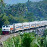 668353437d10b (1)