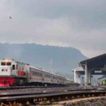 7z4j7507arangz9 (2)