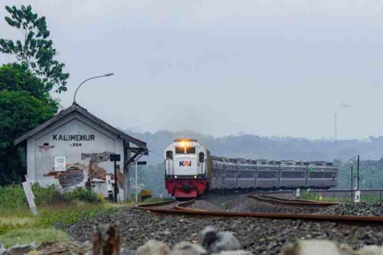 Tak Lekang oleh Waktu, KA Progo Tetap Jadi Primadona yang Paling Digemari Wisatawan
